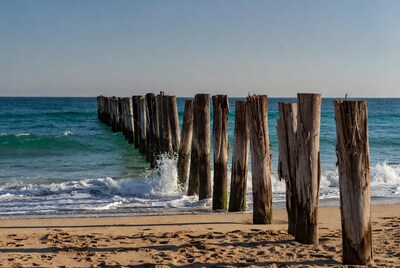 Wooden pier posts in ocean waves