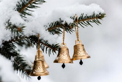 Golden bells on snowy fir branch