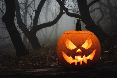 Lit Jack-o-Lantern in foggy forest