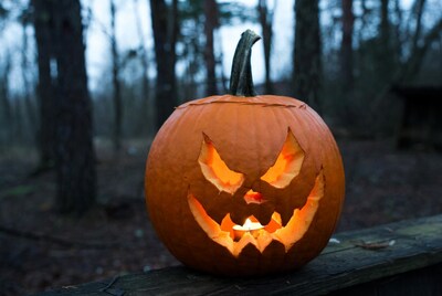 Lit Jack-o-Lantern in Dark Forest