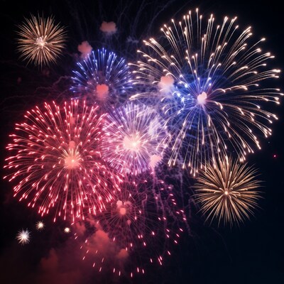 Colorful Fireworks Exploding in Night Sky