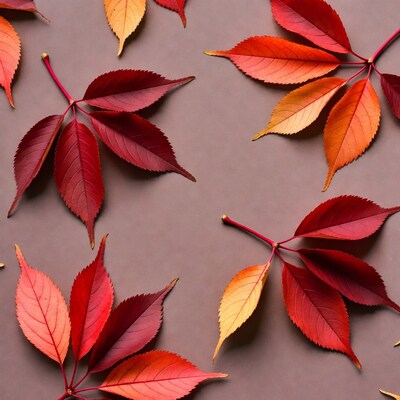 Autumn red leaves on gray background