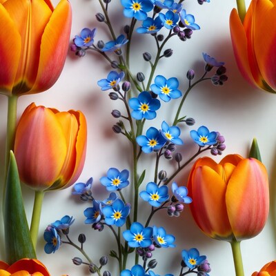 Orange Tulips with Blue Forget-Me-Nots