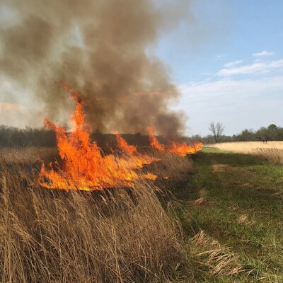 Grass Field Burning with Smoke