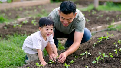 Asian father and son planting seedlings