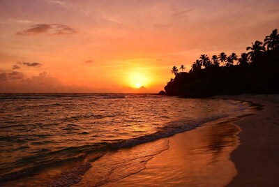 Sunset over tropical beach with palms