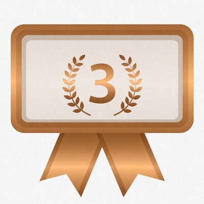 Bronze 3rd Place Medal with Laurel