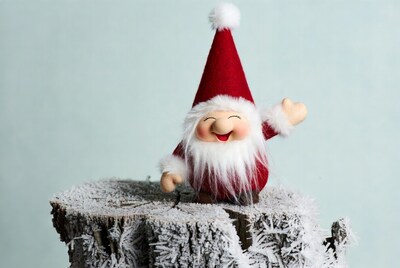 Smiling Gnome on Frosty Stump