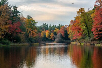 Autumn Forest Lake Reflection