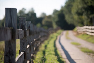 Wooden fence along rural path