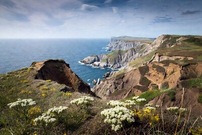 Cliff Edge Overlooking Ocean