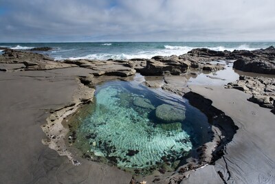 Tide Pool in Rocky Beach