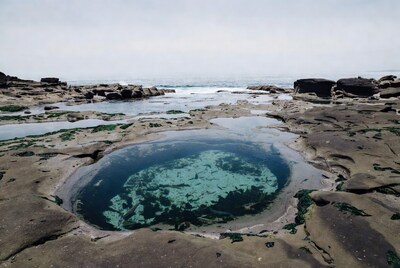 Tidal Pool in Rocky Ocean Shore
