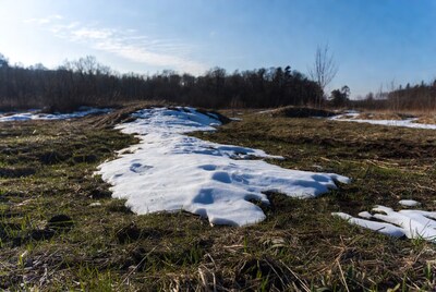 Snow patches on grassy field