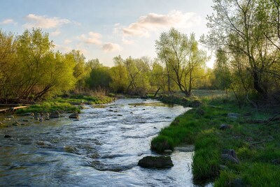 River flowing through green trees