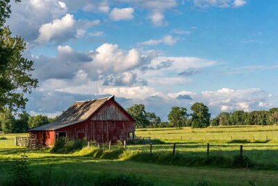Red Barn in Green Field