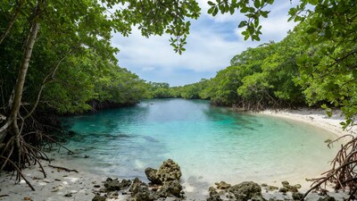 Turquoise Mangrove Lagoon Beach