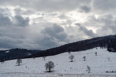 Snowy hills with trees under cloudy sky