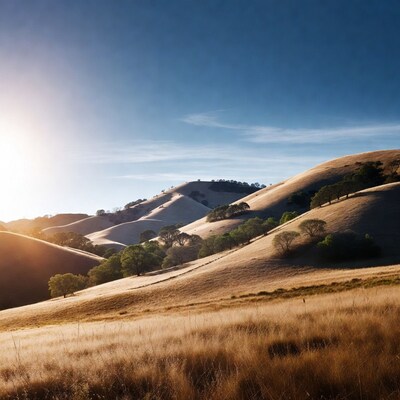 Golden Hills with Sunset Glow