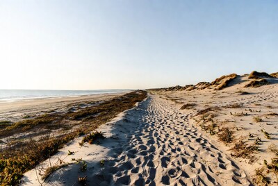 Footpath through beach dunes to ocean