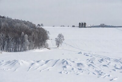 Snowy farm field with silos and trees