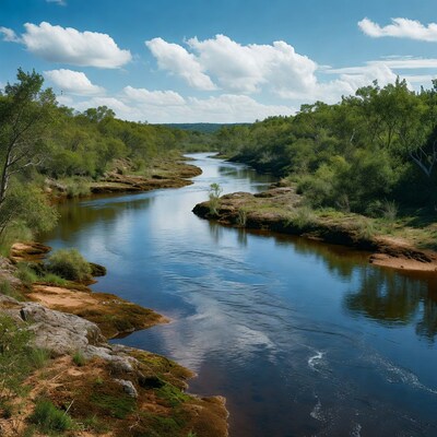 Winding river through green forest