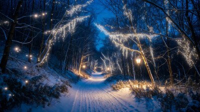 Snowy path through lighted Christmas forest