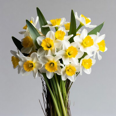 Bouquet of white yellow daffodils