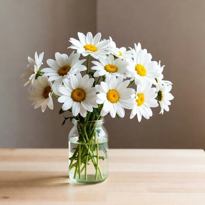 White Daisies in Glass Jar