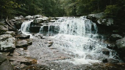 Waterfall cascading over rocks in forest
