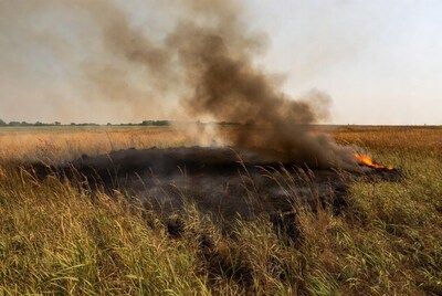 Grass Field Burning with Smoke