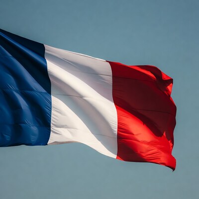 French flag waving against blue sky