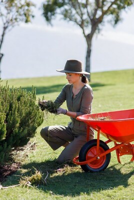 Woman pruning bushes into wheelbarrow