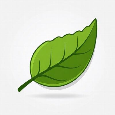 Green Leaf Illustration