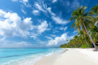 Tropical beach with palm trees and turquoise ocean