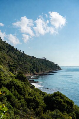 Green Hills Overlooking Ocean Coastline