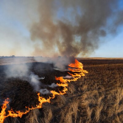 Grassland wildfire burning dry field
