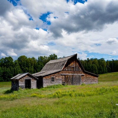 Old wooden barn in green field
