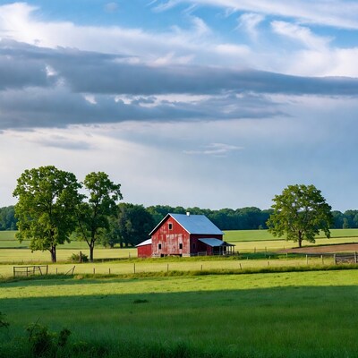 Red Barn in Green Field