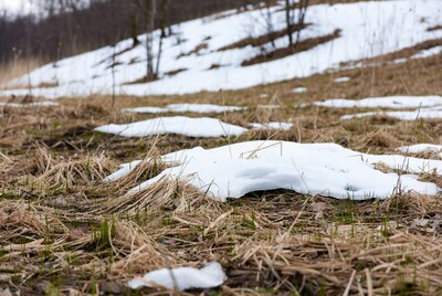 Snow patches on dry grass field