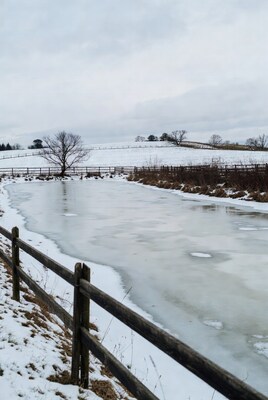 Frozen Pond with Fence and Trees