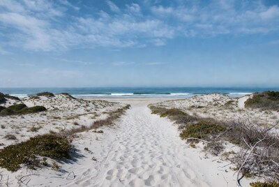 Sandy path through dunes to ocean
