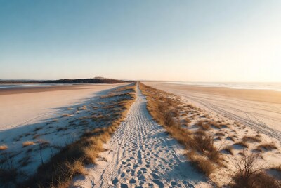 Sandy path through dunes at sunset