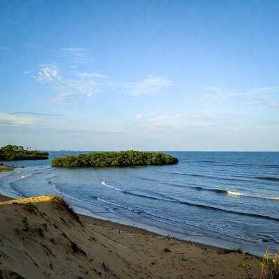 Mangrove Island Beach with Waves