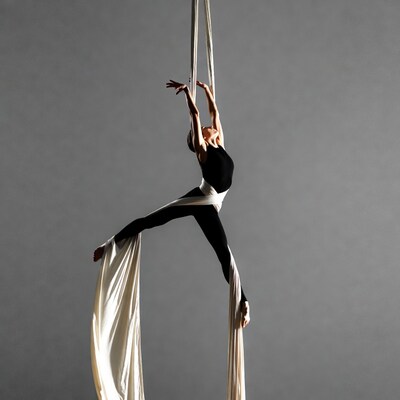 Woman performing aerial silk pose