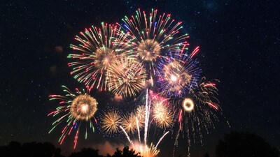 Colorful Fireworks Exploding Night Sky