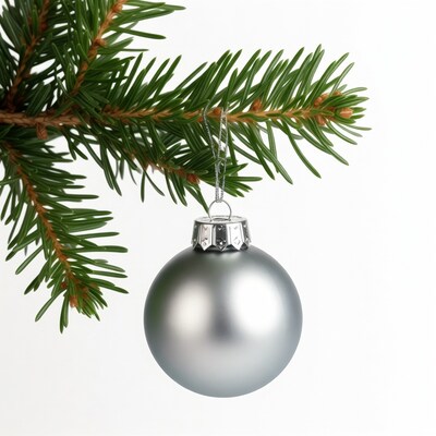 Silver Christmas ornament on fir branch