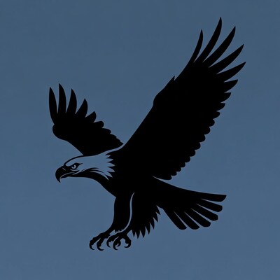Bald eagle flying silhouette