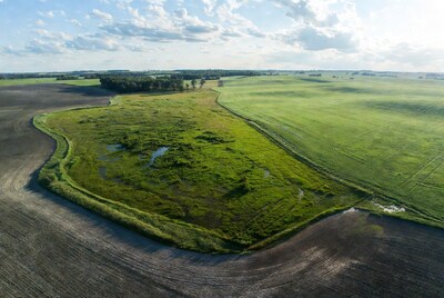 Aerial view of wetland in green fields