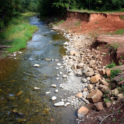 Forest stream with rocky red clay banks